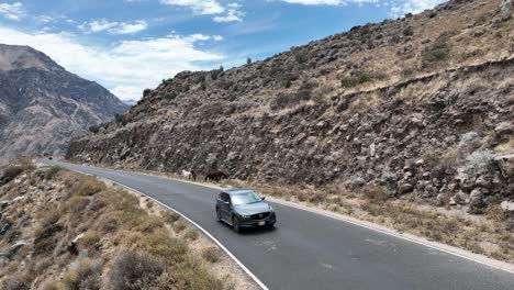 Low-aerial-drone-shot-of-a-moving-mazda-car-along-a-rural-road-with-rocks,-hills-and-cacti-in-the-mountains-of-peru-south-america