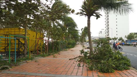 Nachwirkungen-Des-Tropischen-Sturms,-Zerbrochene-Bäume-Und-Nasse-Straßen-Der-Stadt-Da-Nang,-Vietnam