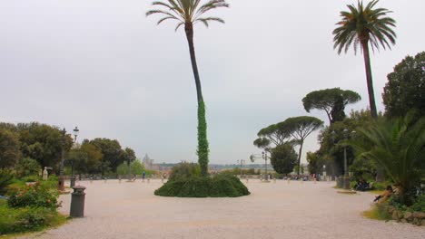 Imponentes-Palmeras-En-El-Jardín-Del-Parque-Villa-Borghese-En-Roma,-Italia