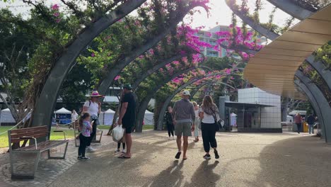 Point-of-view-handheld-shot-walking-through-the-grand-arbour-pedestrian-walkway-covering-with-brilliant-pink-flowering-bouganvilleas-in-spring-season-on-an-idyllic-weekend-afternoon