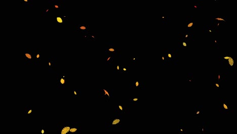 Visual-effects,-VFX,-falling-leaves-on-black-background-3D-animation