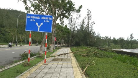 Damage-After-Tropical-Storm-by-the-Road-in-Da-Nang,-Vietnam,-Broken-Trees-and-Branches-by-Street-Sign