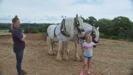 Female-Child-Touches-Shire-Horse-At-The-Great-Trethew-Rally-In-Liskeard,-UK