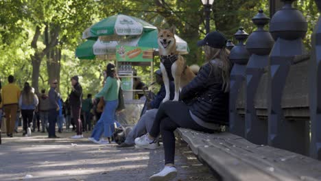 Central-Park-Hund-Und-Frau-Auf-Einer-Bank-In-Zeitlupe