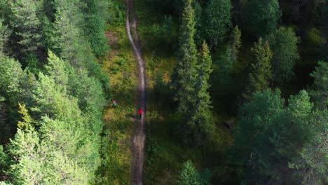 Aerial-of-hikers-taking-a-break-in-the-dense-pine-forest-in-Finland