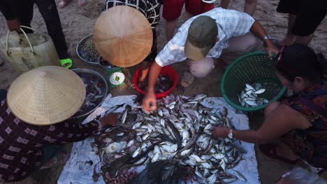 Pescadores-Y-Mujeres-Clasificando-La-Captura-De-Un-Barco-De-Pesca-En-Una-Playa-De-Vietnam-A-Primera-Hora-De-La-Mañana