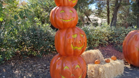 shot-of-decorative-pumpkins-of-Halloween-day