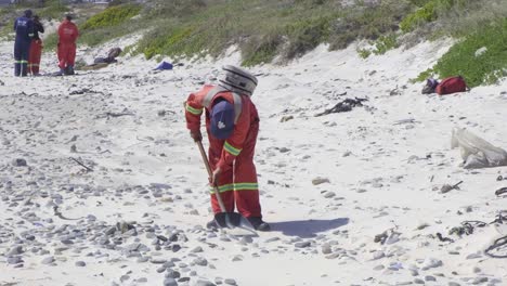 Slow-Motion-Shot-Of-Cleaner-Searching-For-Trash-In-Sandy-Beach-Using-Shovel,-Cape-Town
