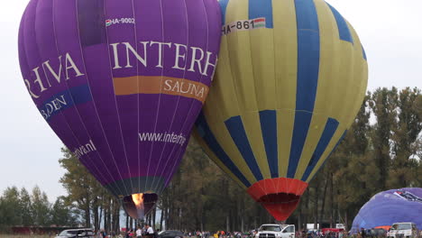 Large-purple-and-yellow-hot-air-balloons-nearly-inflated,-preparing-for-launch