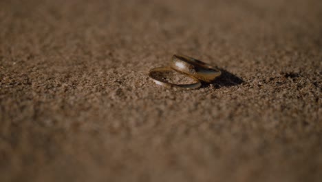 Close-up-shot-wedding-rings-being-covered-with-sand-particles-on-a-windy-sunny-day-at-the-beach