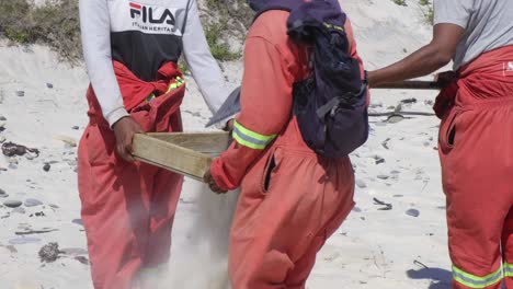 Cleaning-Company-Team-Wearing-Orange-Uniforms-Granulating-Beach-Sand-To-Remove-Waste-In-Cape-Town