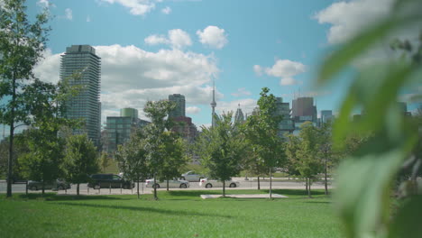Cn-Turm-Und-Andere-Gebäude-In-Der-Innenstadt-Von-Toronto-Mit-Blättern-Im-Vordergrund