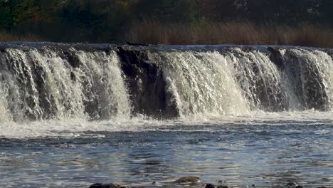 Venta-river-Rapid-wide-shot,-the-widest-waterfall-in-Europe-in-sunny-autumn-day,-located-in-Kuldiga-city,-Latvia