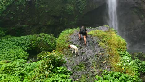 Luftbild-Des-Menschen-Und-Seines-Hundes,-Der-Einen-Felsen-Mit-Blick-Auf-Den-Mächtigen-Sekumpul-Wasserfall-Im-Dschungel-Von-Bali,-Indonesien,-Erklimmt