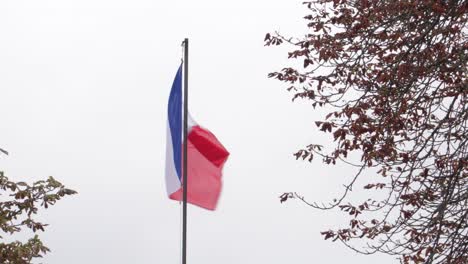 Bandera-Francesa-Ondeando-En-El-Viento-Contra-El-Cielo-Y-El-Fondo-De-Los-árboles
