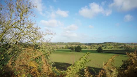 Noch-Herbst-Land-Feld-Im-Ländlichen-England