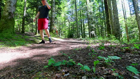 Man-with-a-Hat-and-Sunglasses-Walks-Through-the-Woods-and-Towards-the-Camera,-Static-Low-Angle