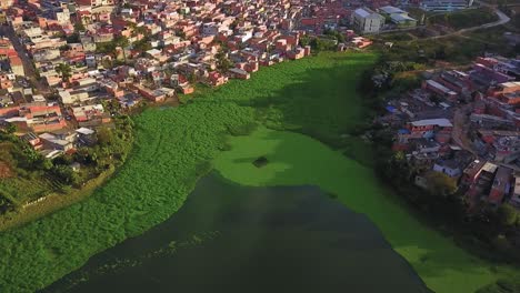 Luftaufnahme-Aus-Der-Vogelperspektive,-Die-über-Die-Grünen-Ufer-Neben-Den-Favelas-In-Sao-Paulo-Fliegt