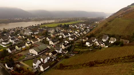 Small-town-and-vineyards-at-river-drone-shot-autumn-colors