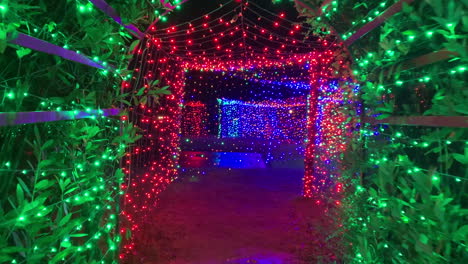 Entering-tunnel-of-thousands-of-Christmas-lights