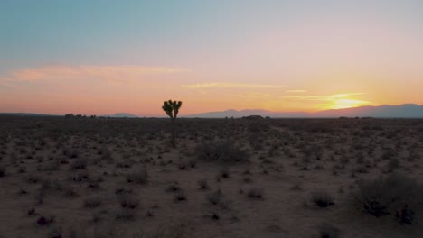 Flying-low-through-Mojave-Desert-past-Joshua-Tree-at-sunset-or-sunrise,-AERIAL