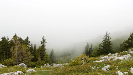 Wunderschönes,-Stimmungsvolles-Berggebiet,-Umgeben-Von-Kiefernwald-Und-Viel-Grün-Mit-Sich-Bewegenden-Wolken-Und-Nebel