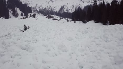 Avalanche-runout-zone-in-the-alps,-Austria,-Kleinwalsertal,-bad-weather