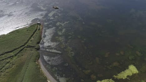 Tracking-aerial-across-the-fleet-lagoon-at-the-Abbotsbury-Swannery