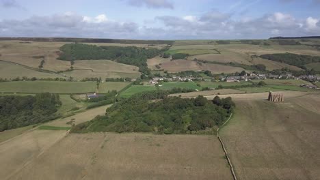 Forward-tracking-aerial-moving-across-the-copse-beside-St-Catherine's-Chapel-near-the-village-of-Abbotsbury