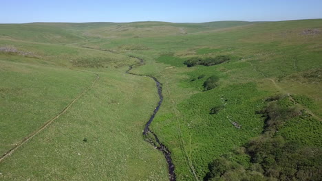 Wide-aerial-shot-tracking-forward,-with-wistmans-wood,-a-river-and-grassy-moorland-setting-the-scene