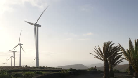 Weite-Aufnahme-Von-Windkraftanlagen-Auf-Lanzarote,-Kanarische-Inseln,-Spanien
