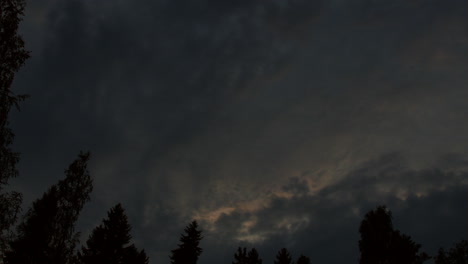 Beautiful-timelapse-of-fast-moving-clouds-and-swaying-trees-when-day-turns-to-night