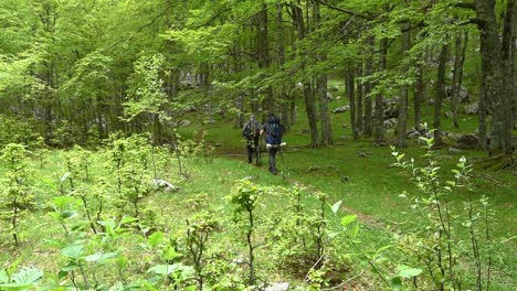 Dos-Personas-Caminando-Solas-Por-El-Sendero-En-Las-Montañas-En-Un-Bosque-En-Un-Día-Soleado-En-Croacia