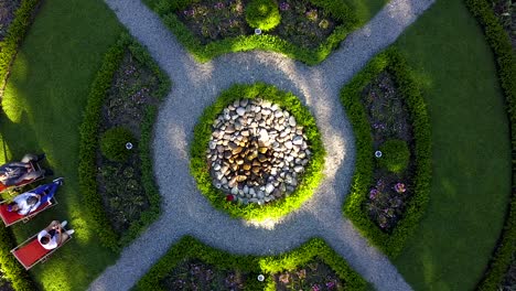 Ascending,-rotating-aerial-view-of-a-neatly-manicured-and-ornate-rose-garden