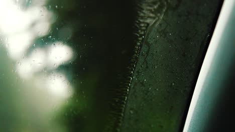Close-up-of-windshield-wiper-blades-keeping-the-rain-off-the-window-where-the-water-beads-at-the-edge-where-the-blade-travel-ends