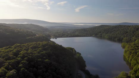 Aerial-view-over-forest-lake-in-the-summer