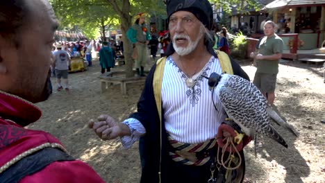 A-man-dressed-in-renaissance-costume-displaying-a-hooded-bird-of-prey,-talks-to-festival-attendees