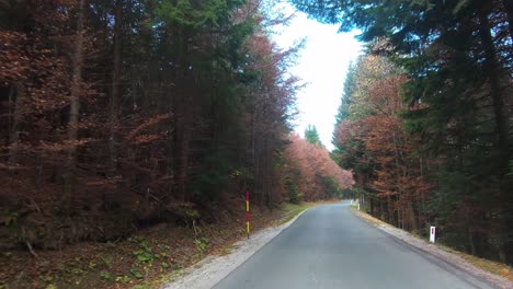 Driving-through-woods-in-autumn,-fall-foliage,-wilderness-and-outback-driving