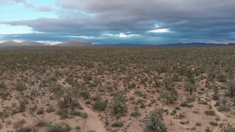 Luftaufnahme-Der-Wüste-Außerhalb-Von-Prescott,-Arizona,-USA