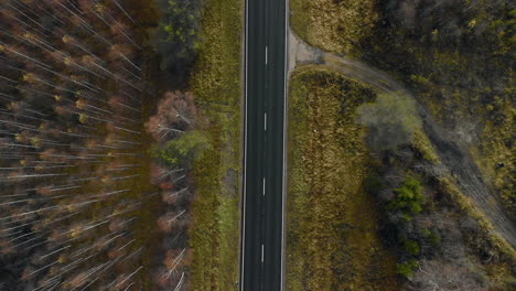 Aerial,-rising,-drone-shot,-above-cars-on-a-dark,-asphalt-road,-between-pine-trees-and-leafless,-birch-forest,-on-a-sunny-autumn-day,-in-Juuka,-North-Karelia,-Finland