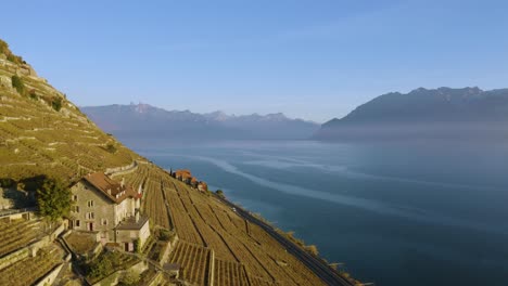 Flying-close-to-typical-houses-in-Lavaux-vineyard-,-Lake-Léman-and-the-Alps-in-the-background