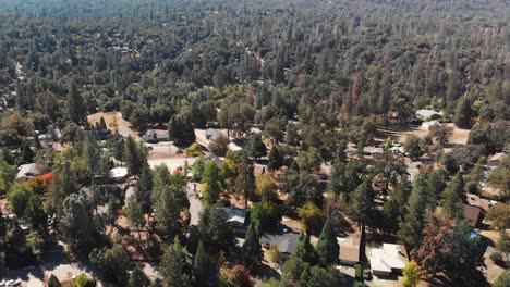 Aerial-shot-of-a-mountain-neighborhood-surrounded-by-pine-trees-and-oaks