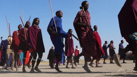 A-slow-motion-clip-of-a-group-of-Maasai-woman-dancing,-celebrating-and-greeting-during-migration-season-in-the-Ngorongoro-crater-Tanzania