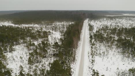Aerial-view-of-pine-tree-forest-during-winter