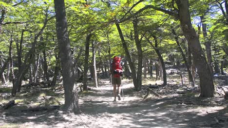 Mujer-Joven-Caminando-Por-El-Bosque-Alrededor-De-Fitz-Roy,-Patagonia,-Argentina