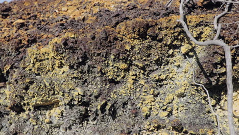 Closeup-of-sulfide-rocks-in-old-abandonded-copper-mine-Sao-Domingo-in-Portugal