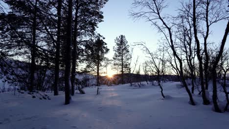 Schwenkaufnahme-Eines-Sonnenaufgangs-Sonnenuntergangs,-Gesehen-Von-Einem-Verschneiten-Fichtenwald