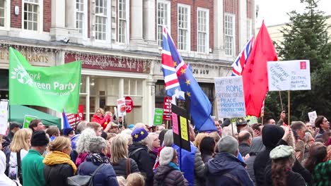 Anti-Brexit-Protesters-Wave-Flags-and-Signs