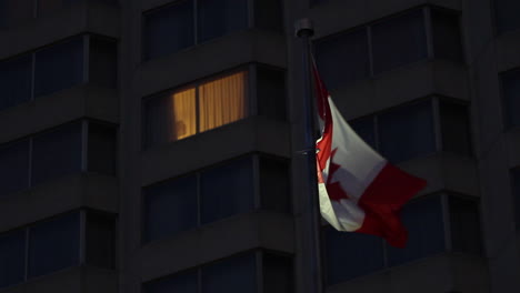 Bandera-Canadiense-Ondeando-En-El-Centro-Por-La-Noche