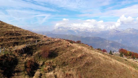 Tiefflug-über-Die-Weide-In-Slowenien,-Mit-Blick-Auf-Die-Julischen-Alpen